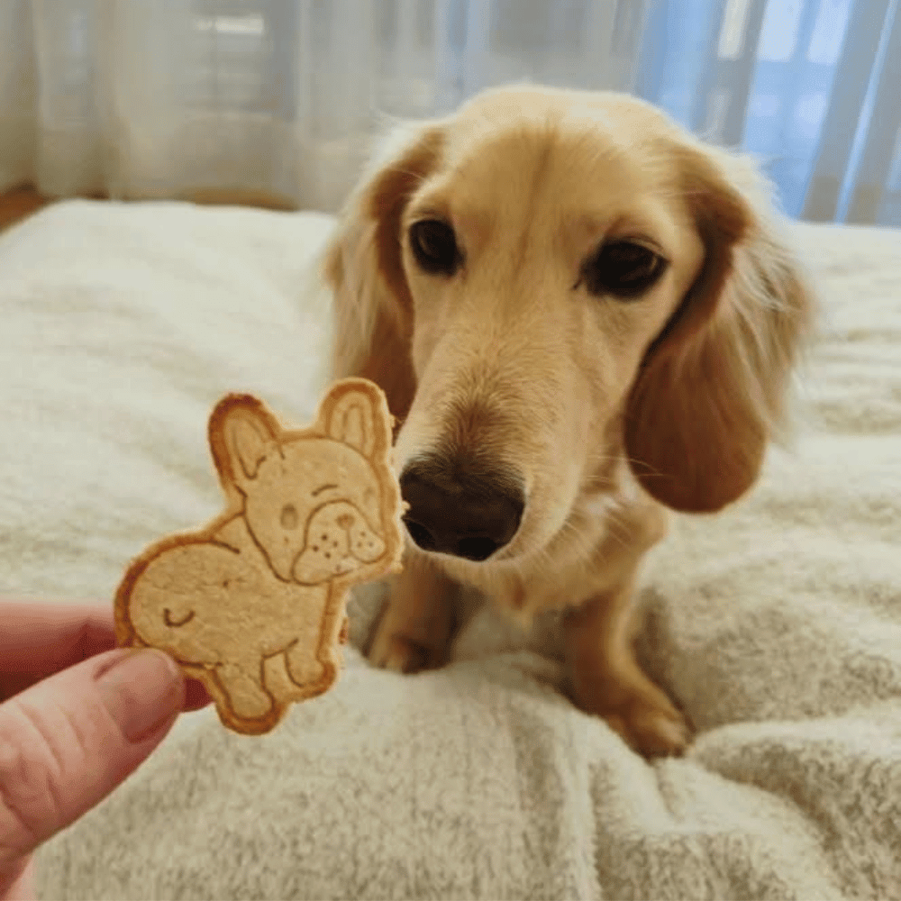 Dogs Cookie Cutter Embosser Set 6pcs - Cookie Cutters from . at DoggyTopia