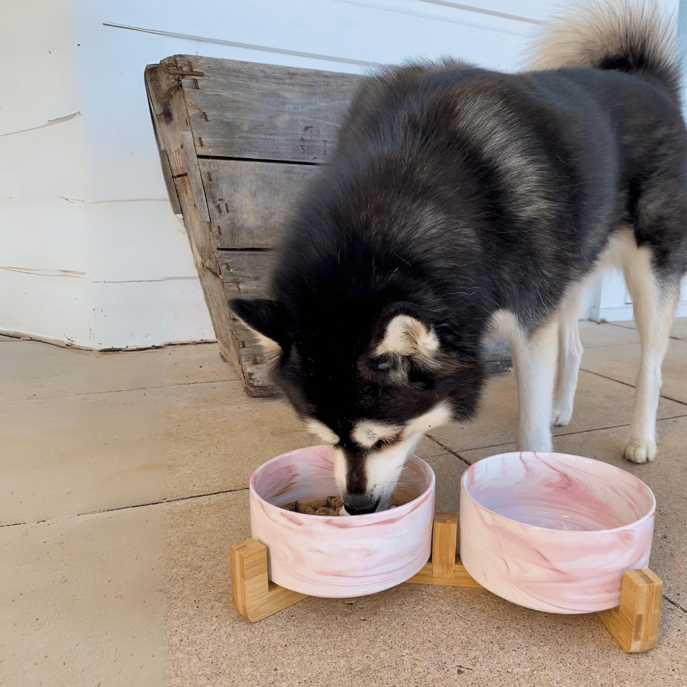 Double Marble Ceramic Bowls With Bamboo Stand - Bowls from . at DoggyTopia