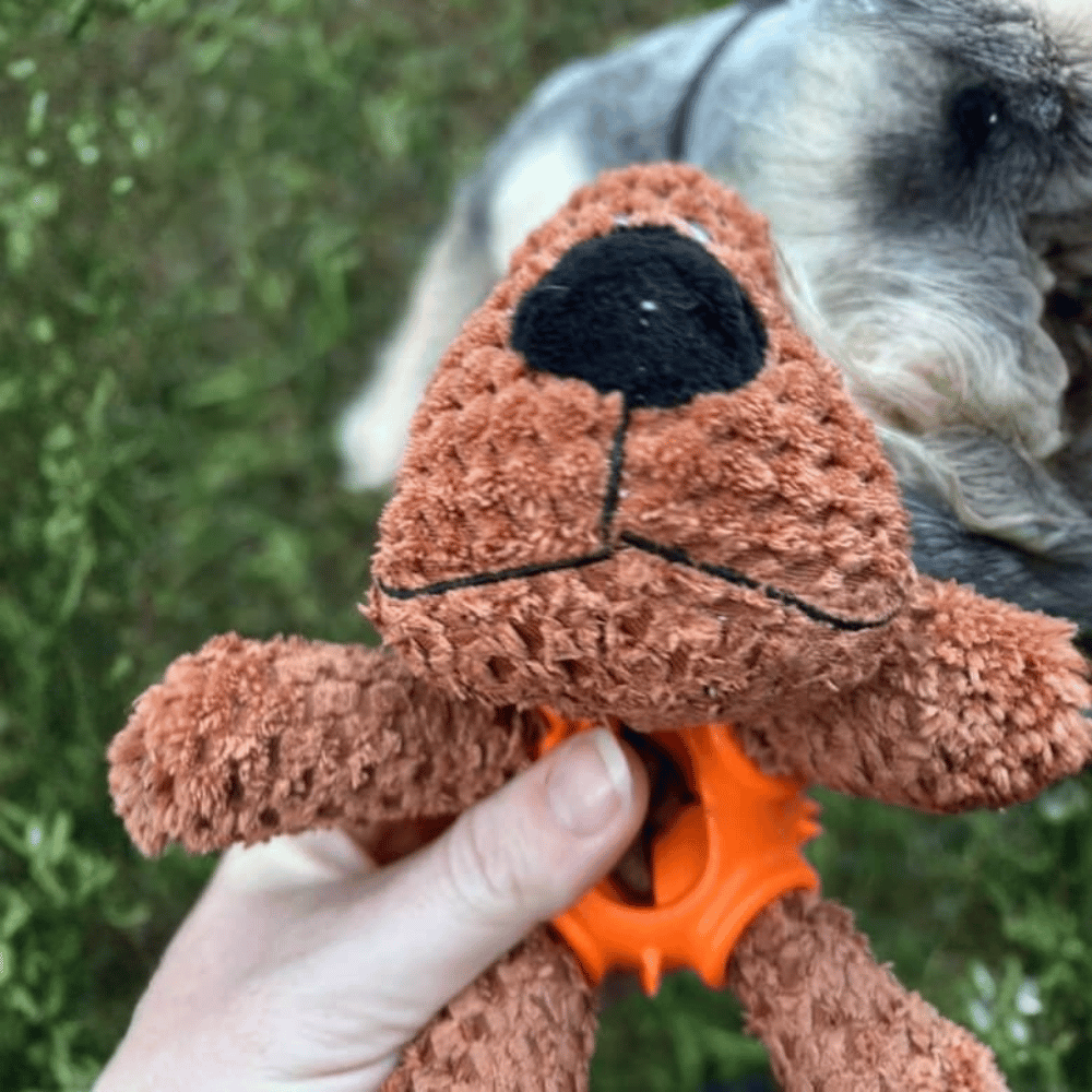 Dougie Dog Enrichment Plush Dog Toy - Enrichment Toys from . at DoggyTopia