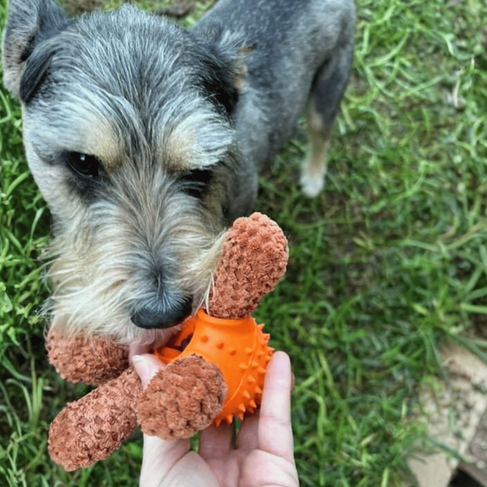 Dougie Dog Enrichment Plush Dog Toy - Enrichment Toys from . at DoggyTopia