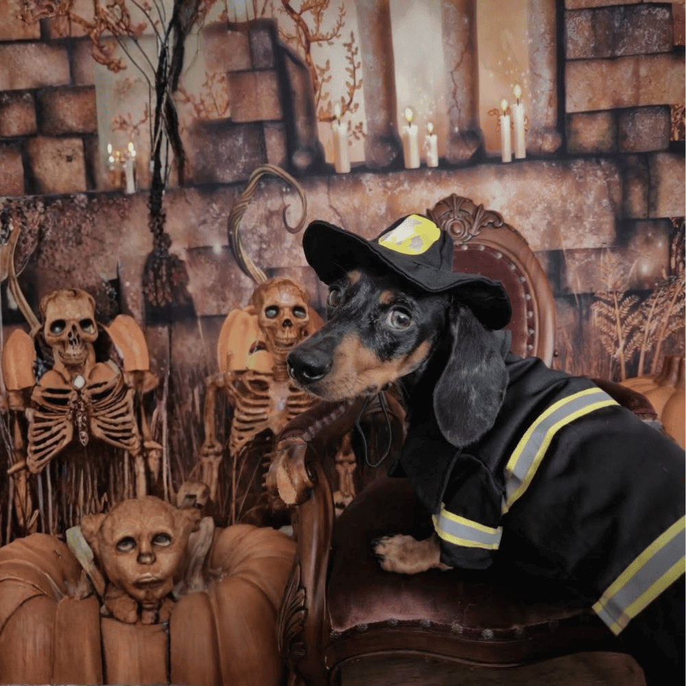 Fire Fighter Dog Costume - Costumes from Sale at DoggyTopia
