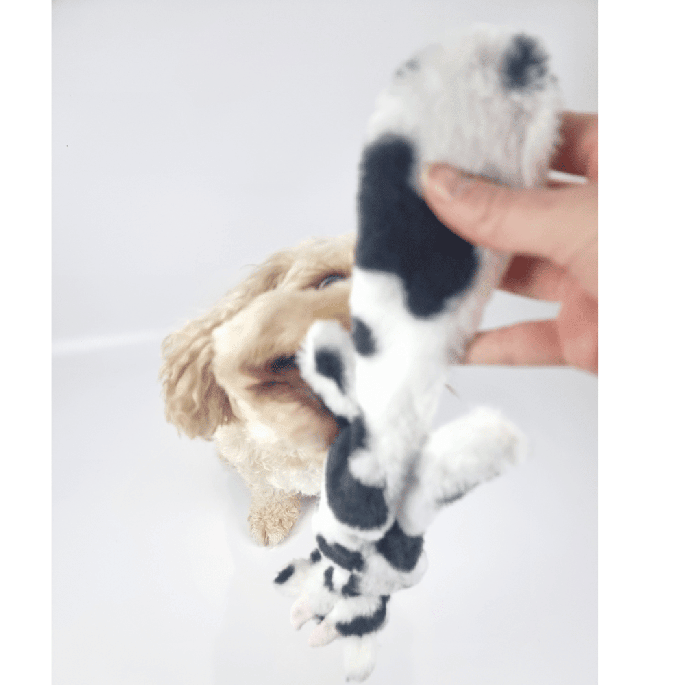 Floppy Cow Plush Dog Toy - Plush Toys from . at DoggyTopia
