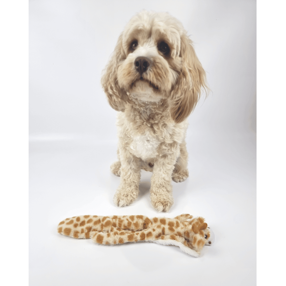 Floppy Giraffe Plush Dog Toy - Plush Toys from . at DoggyTopia
