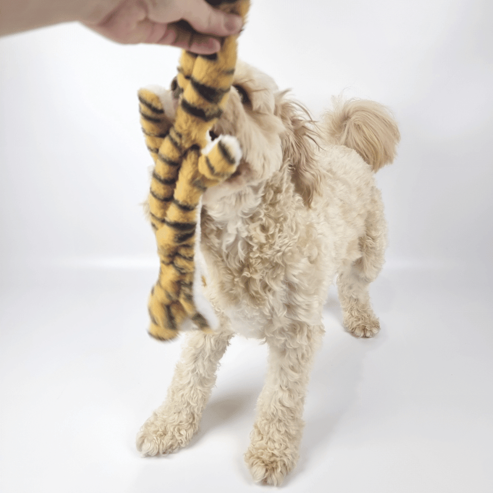 Floppy Tiger Plush Dog Toy - Plush Toys from . at DoggyTopia