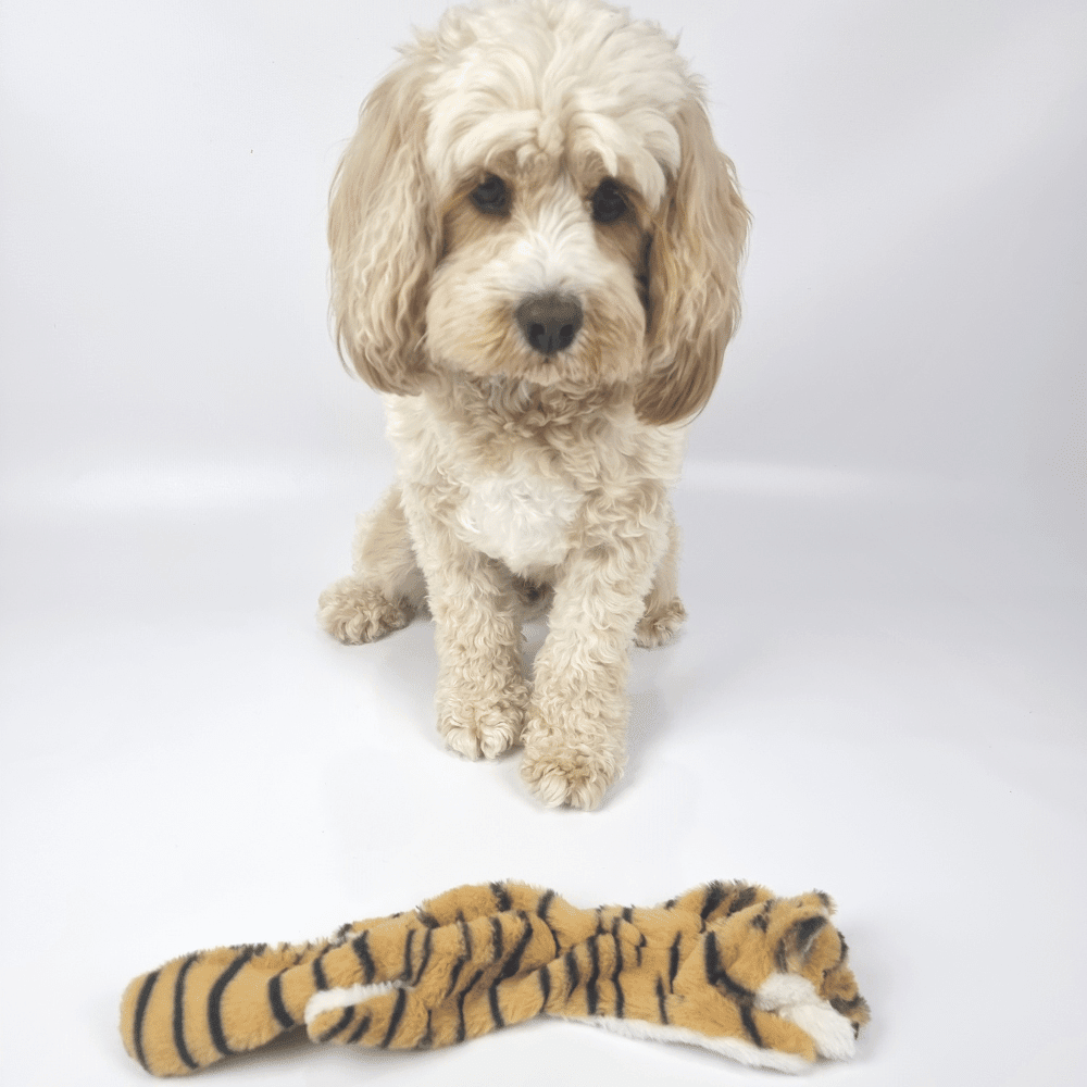 Floppy Tiger Plush Dog Toy - Plush Toys from . at DoggyTopia