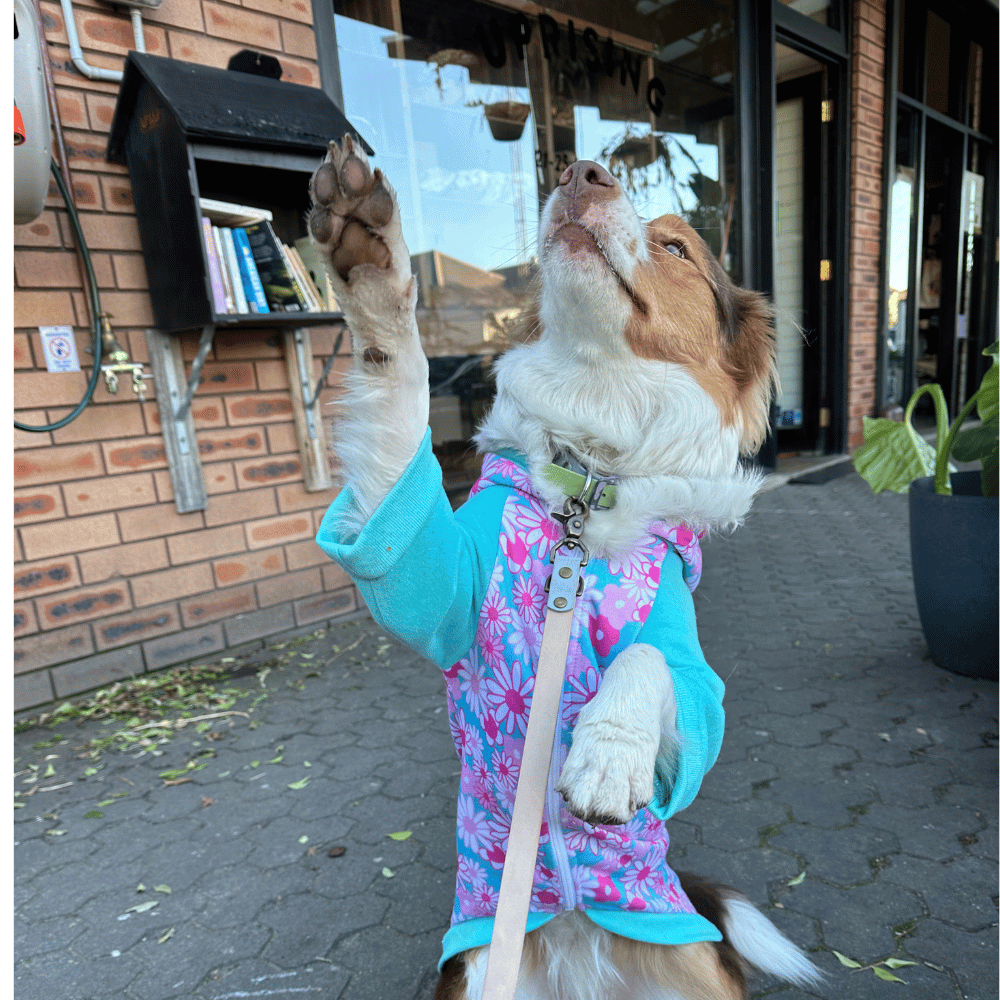 Flower Power Zip Hoodie - Hoodies from Sale at DoggyTopia