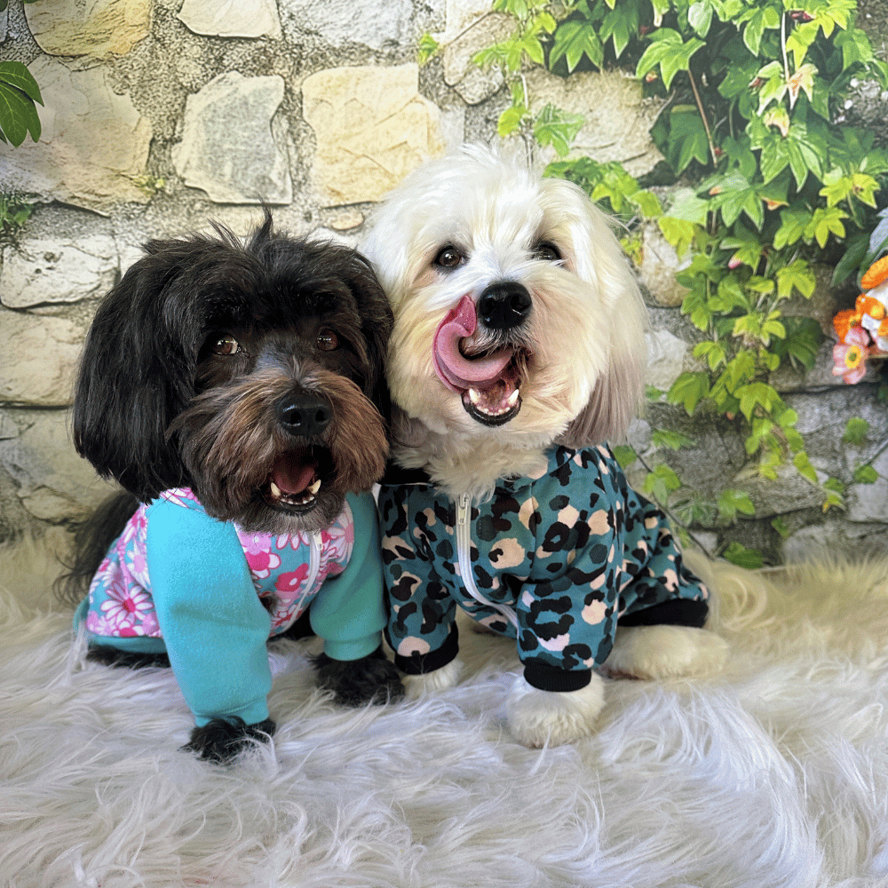 Flower Power Zip Hoodie - Hoodies from Sale at DoggyTopia
