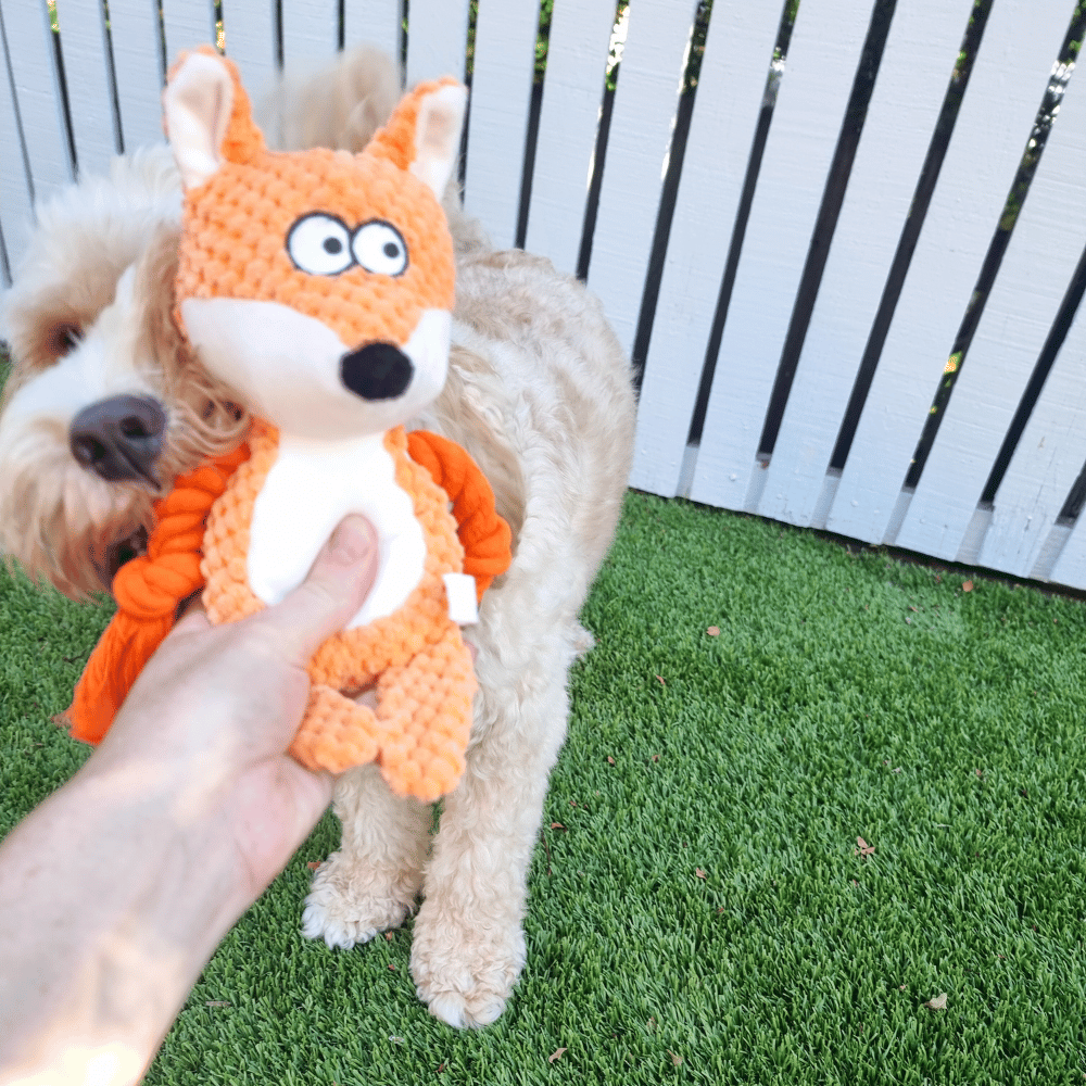 Frida Fox Rope Corduroy Dog Toy - Plush and Rope Toys from . at DoggyTopia