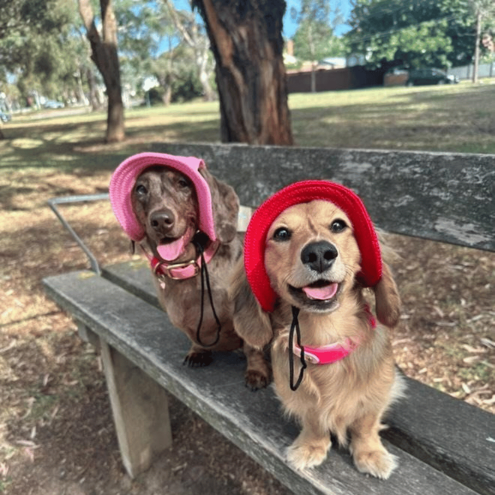 Full Brim Dog Sun Hat Red - Dog Sun Hat from . at DoggyTopia