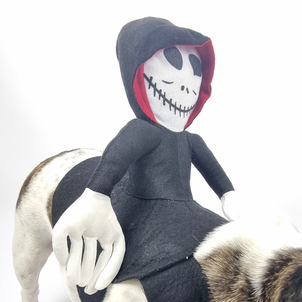 Ghoul Ride - On Dog Costume - Costumes from . at DoggyTopia