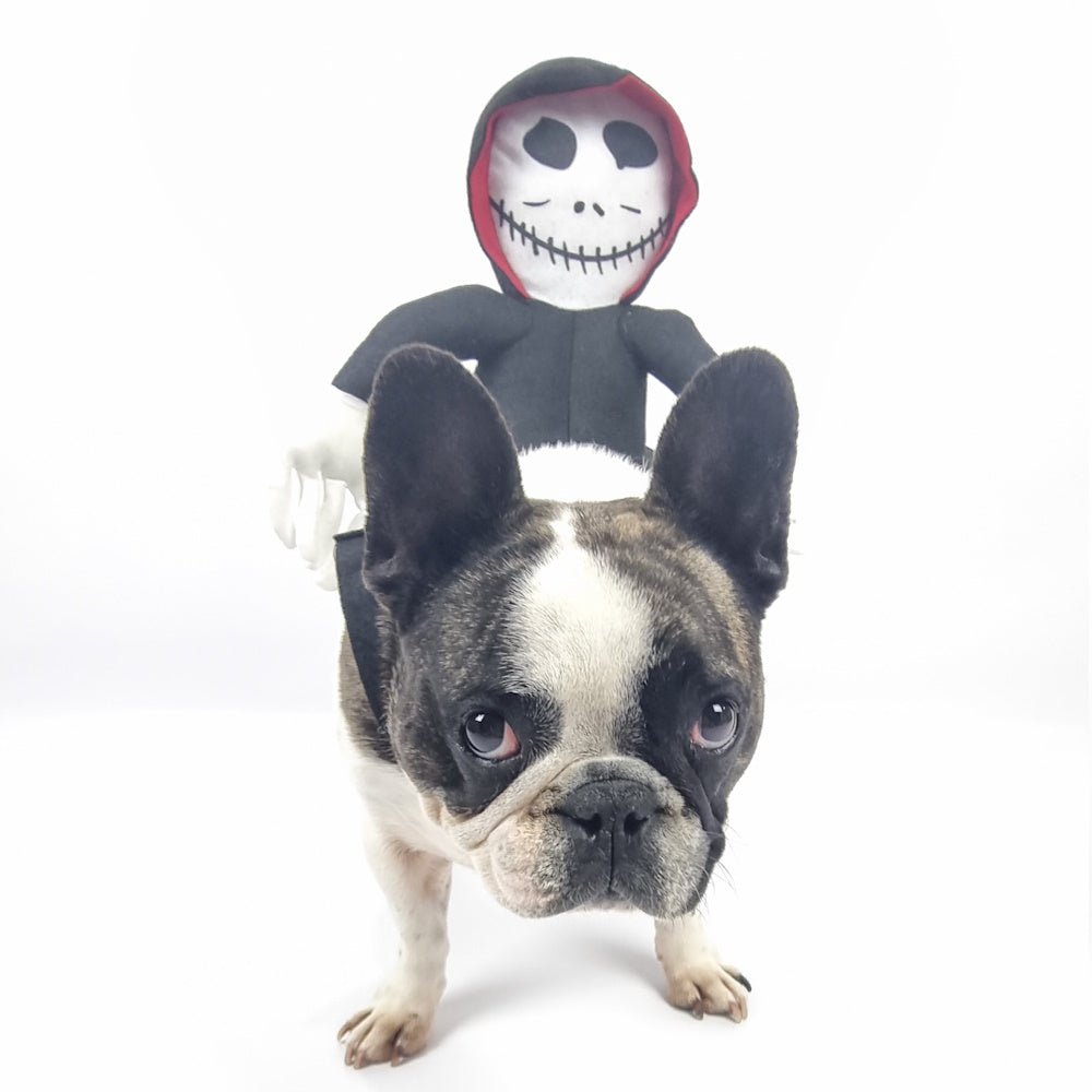 Ghoul Ride - On Dog Costume - Costumes from . at DoggyTopia