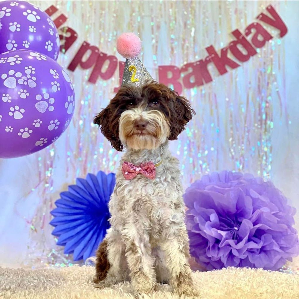Happy Barkday Banner - Pink - Party Banners from Sale at DoggyTopia