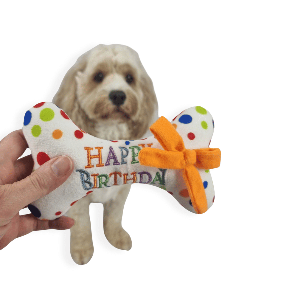 Happy Birthday Bone Dog Toy - Birthday Toys from . at DoggyTopia