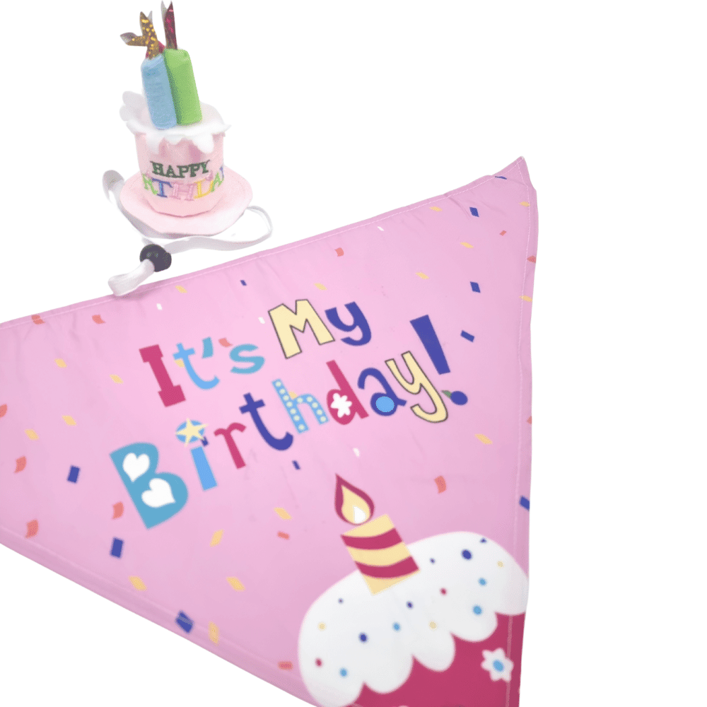 Happy Birthday Cake Hat & Bandana Set - Pink - Dog Party Hats from . at DoggyTopia