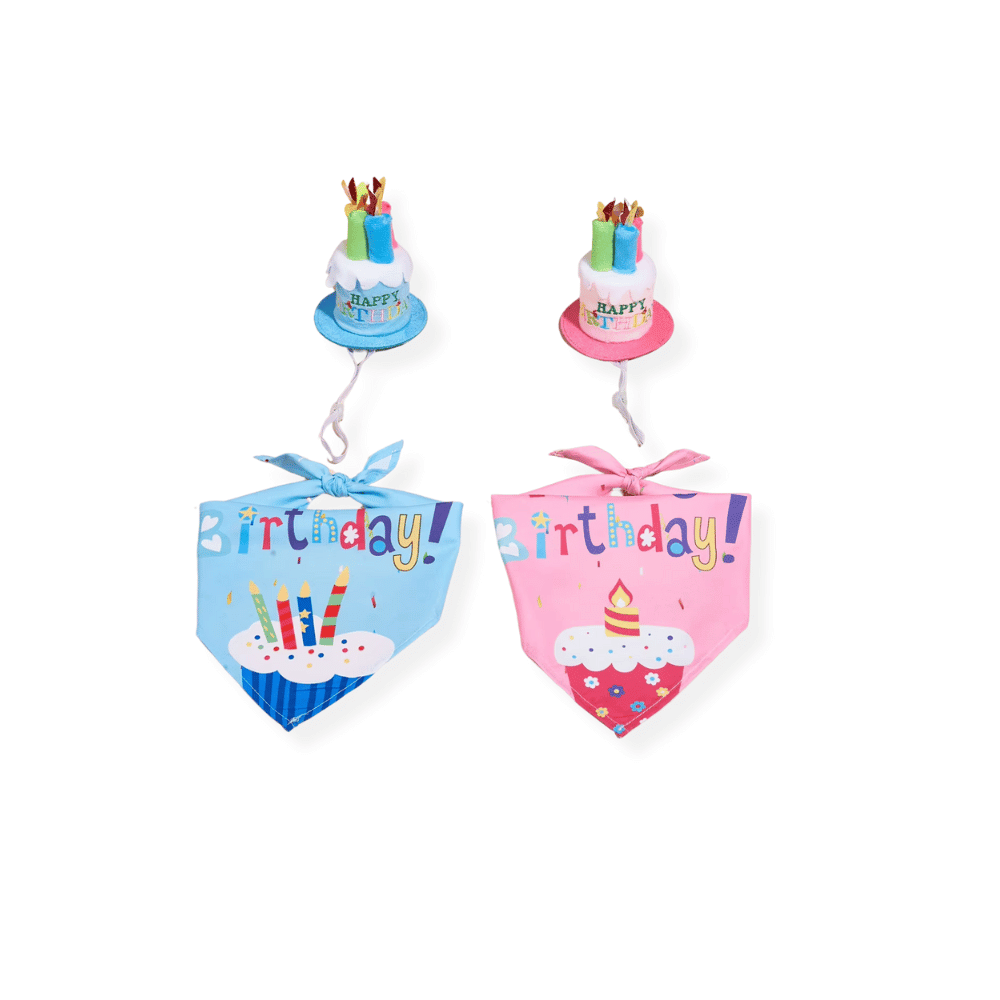 Happy Birthday Cake Hat & Bandana Set - Pink - Dog Party Hats from . at DoggyTopia