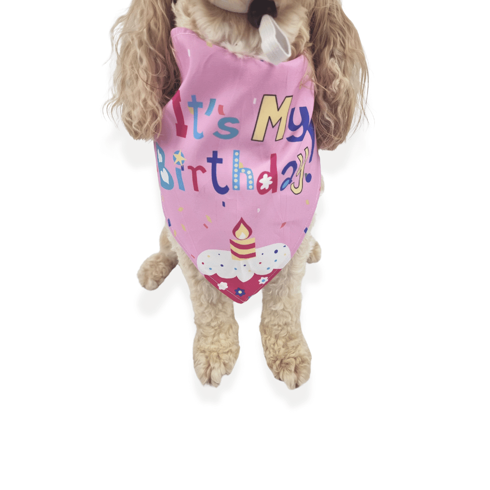Happy Birthday Cake Hat & Bandana Set - Pink - Dog Party Hats from . at DoggyTopia