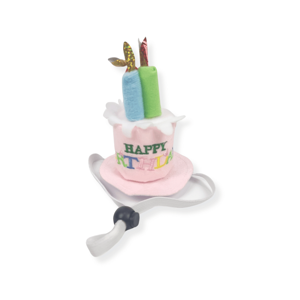 Happy Birthday Cake Hat & Bandana Set - Pink - Dog Party Hats from . at DoggyTopia