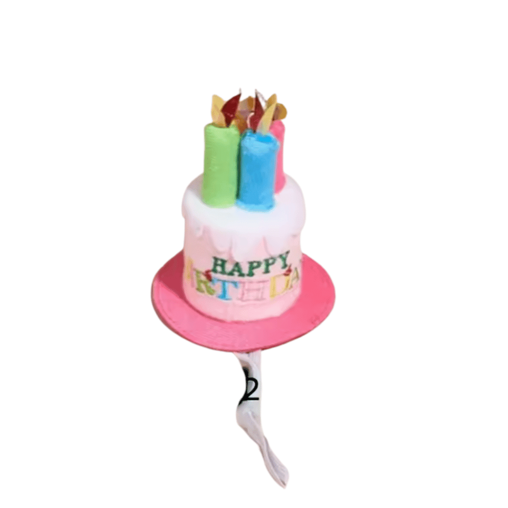 Happy Birthday Cake Hat & Bandana Set - Pink - Dog Party Hats from . at DoggyTopia