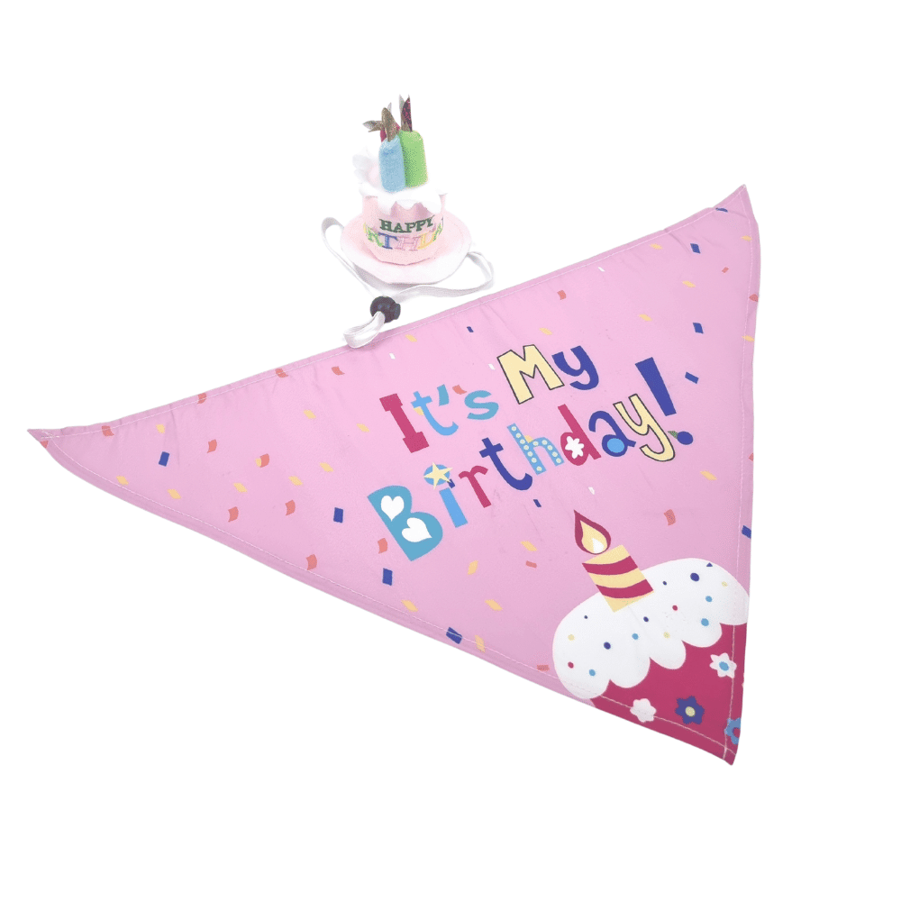 Happy Birthday Cake Hat & Bandana Set - Pink - Dog Party Hats from . at DoggyTopia