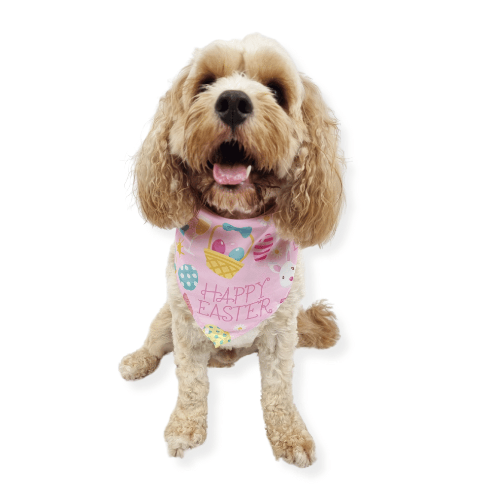 Happy Easter Bandana - Pink - Bandanas from . at DoggyTopia