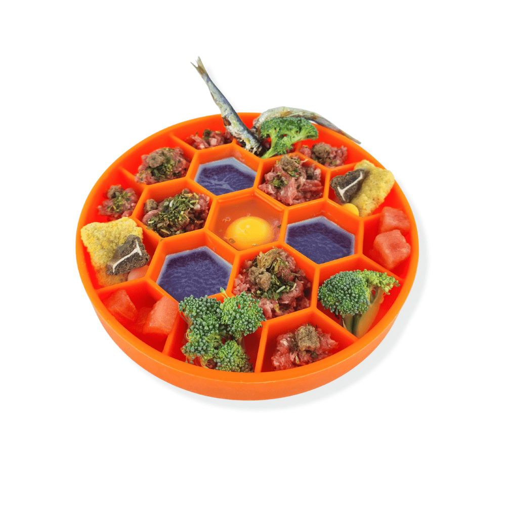 Honeycomb Slow Feeder Bowl - Slow Feeding Bowls from . at DoggyTopia