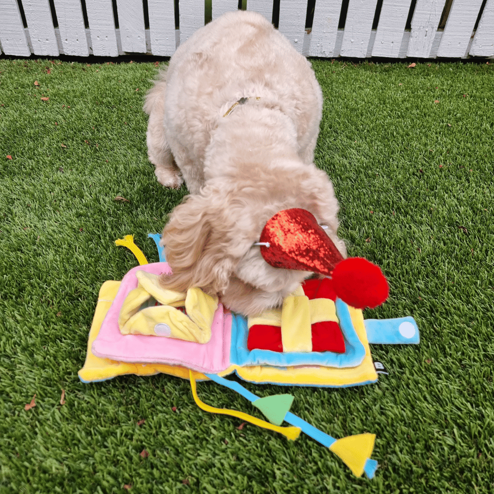 It's My Birthday Nose Work Book Toy - Foraging Toy from Christmas at DoggyTopia
