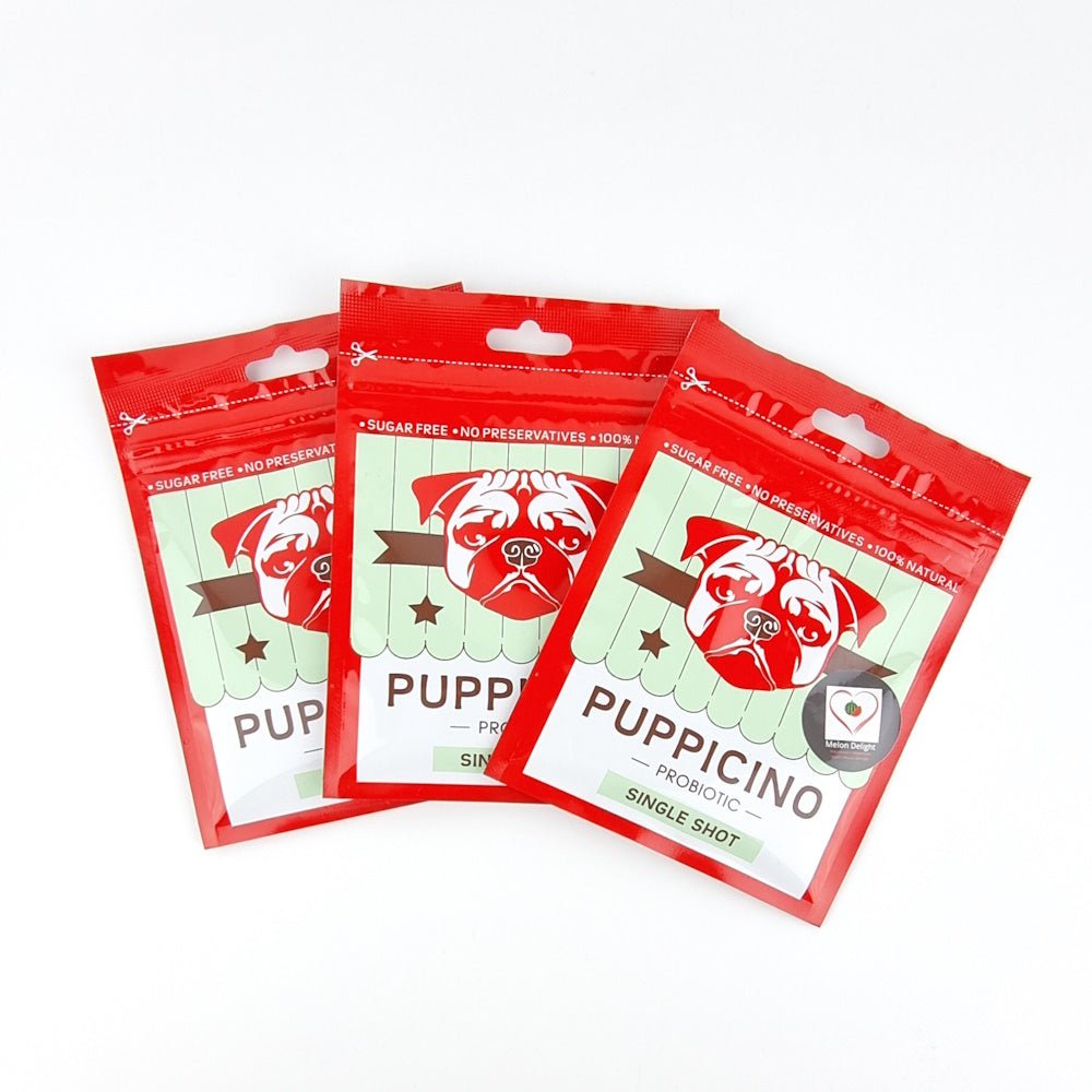 L'Barkery Puppicino - Melon Delight - Beverages from L'Barkery at DoggyTopia