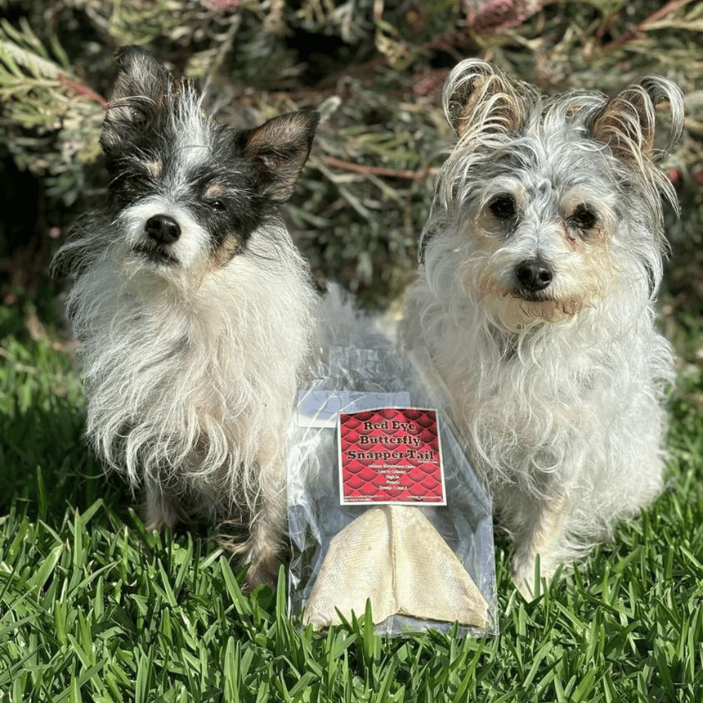 L'Barkery Red Eye Butterfly Snapper Tail - Treats from L'Barkery at DoggyTopia