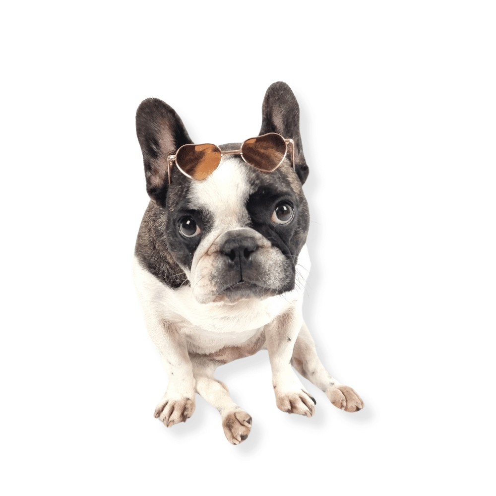 Love Heart Dog Sunglasses - Sunglasses from . at DoggyTopia