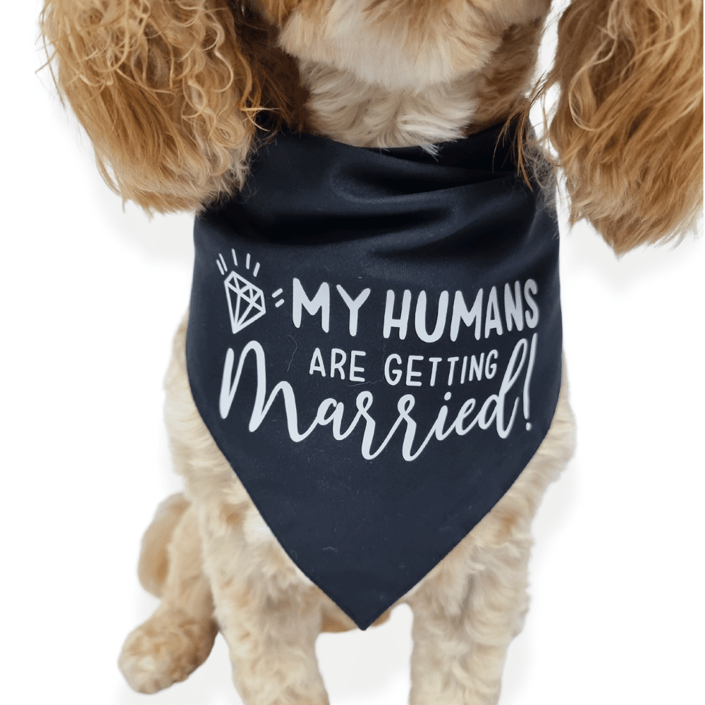 My Humans are Getting Married! Dog Wedding Bandana - Wedding Bandanas from . at DoggyTopia