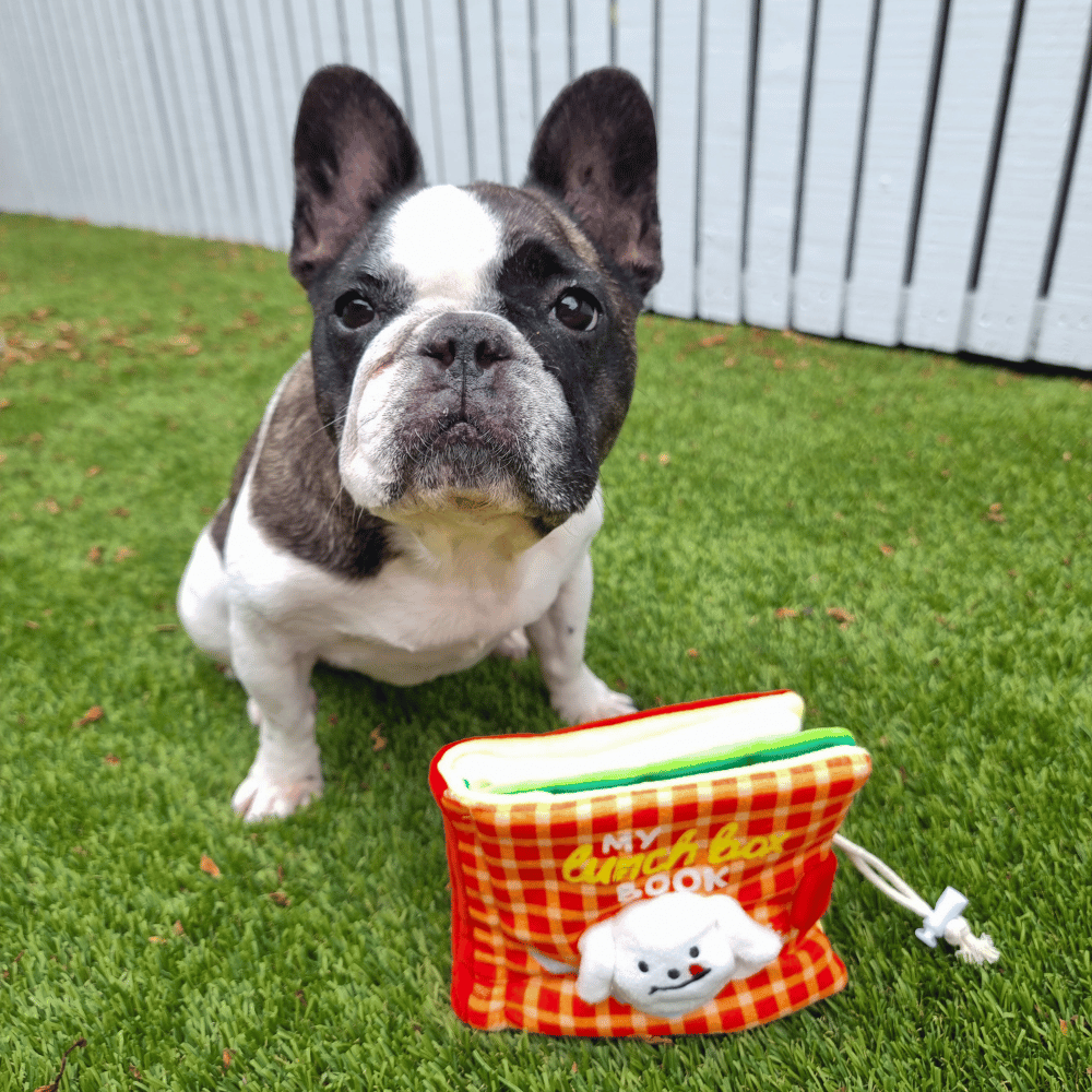 My Lunchbox Nose Work Book Toy - Foraging Toy from . at DoggyTopia