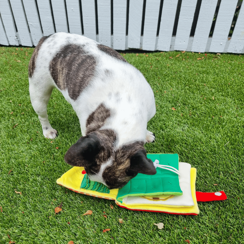 My Lunchbox Nose Work Book Toy - Foraging Toy from . at DoggyTopia
