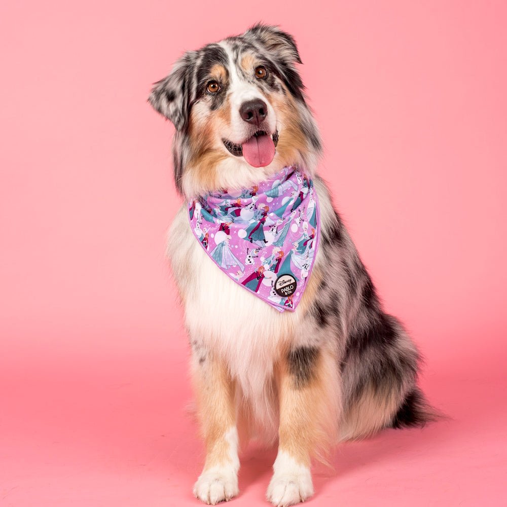 Pablo & Co: Frozen Dog Bandana - Bandanas from Sale at DoggyTopia