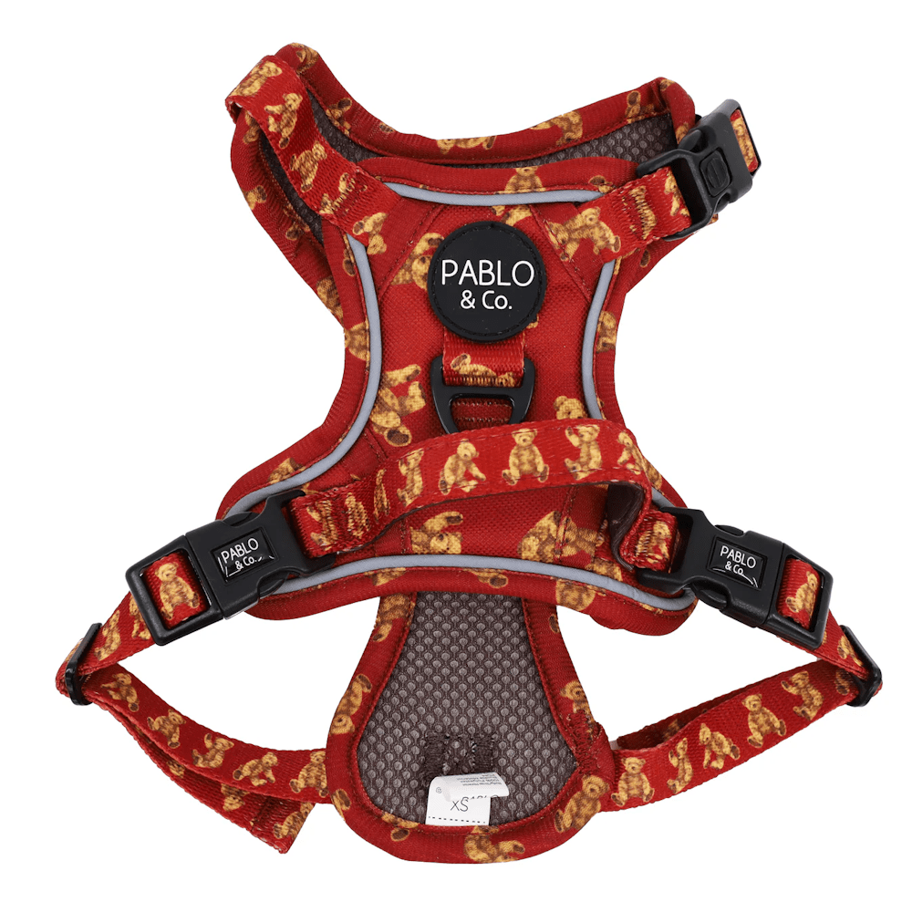 Pablo & Co Henry Bear No Pull Adventure Harness - No Pull Harnesses from Pablo & Co at DoggyTopia