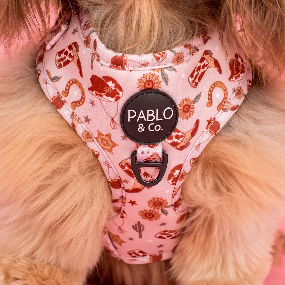 Pablo & Co Howdy Adjustable Harness - Adjustable Harnesses from Pablo & Co at DoggyTopia