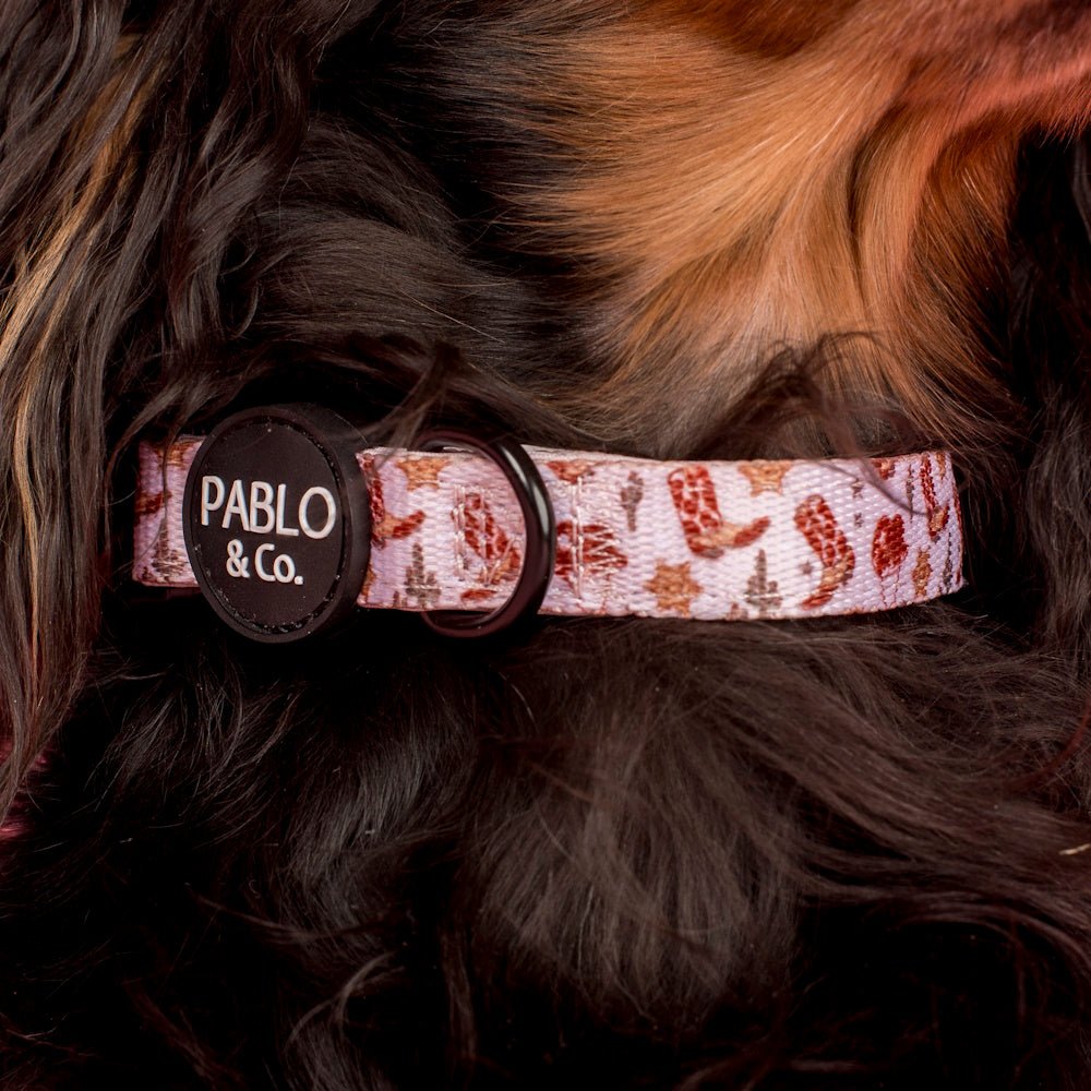Pablo & Co Howdy Dog Collar - Collars from Pablo & Co at DoggyTopia
