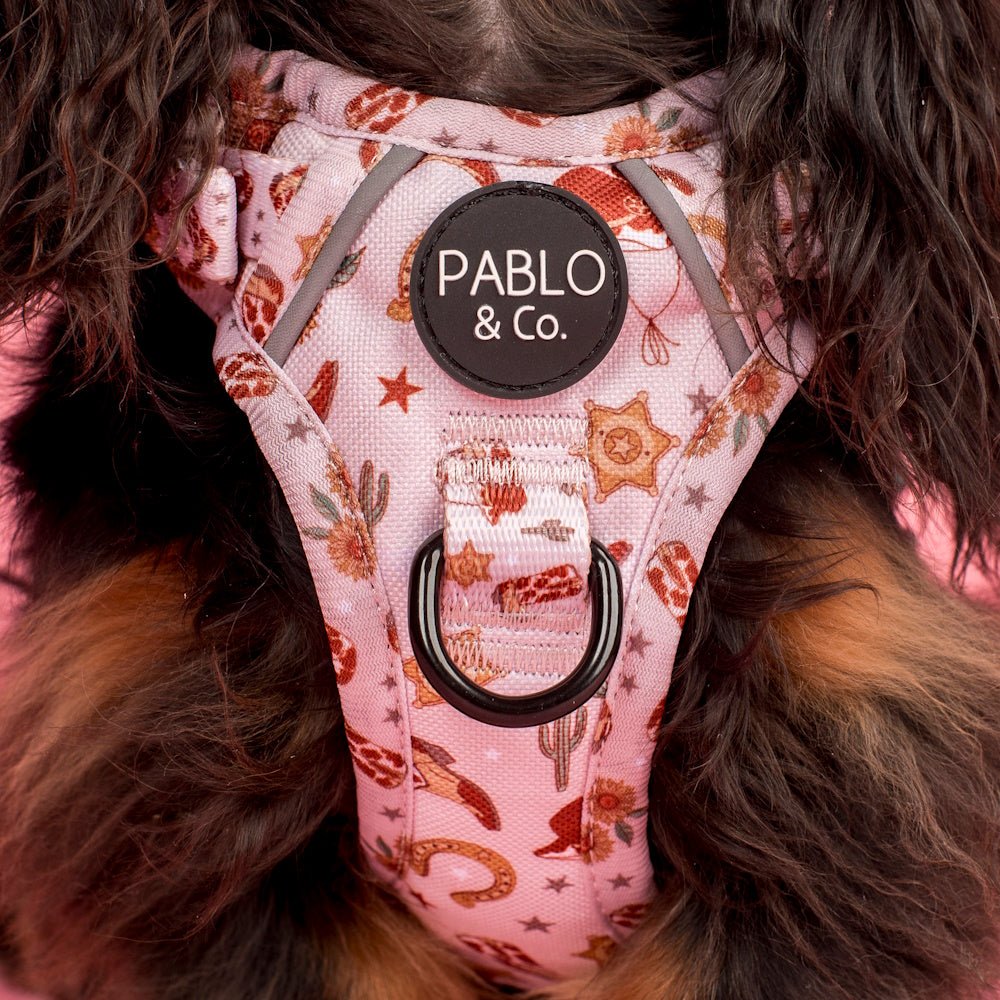 Pablo & Co Howdy No Pull Harness - No Pull Harnesses from Pablo & Co at DoggyTopia