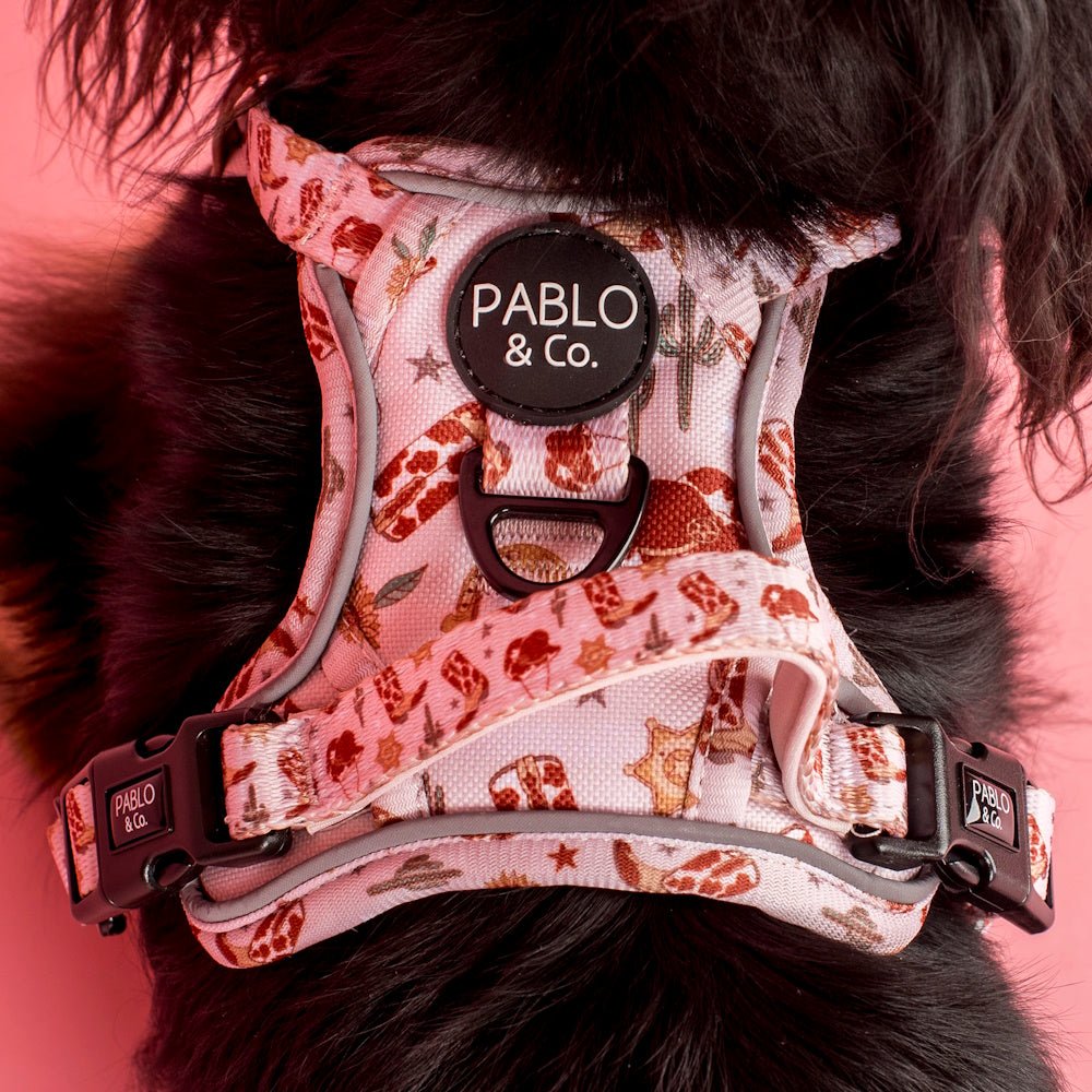 Pablo & Co Howdy No Pull Harness - No Pull Harnesses from Pablo & Co at DoggyTopia