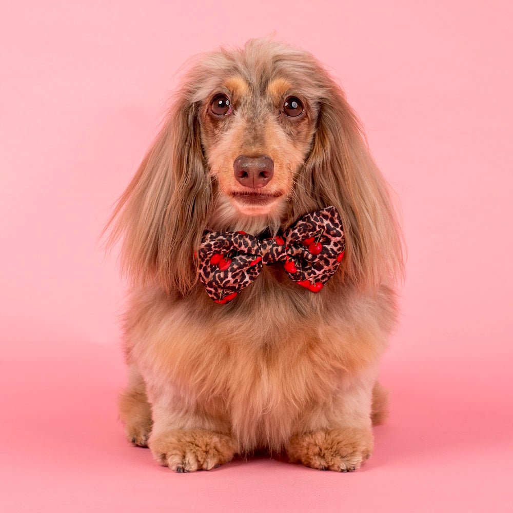 Pablo & Co Leopard Cherries Bow Tie - Bow Ties from Pablo & Co at DoggyTopia