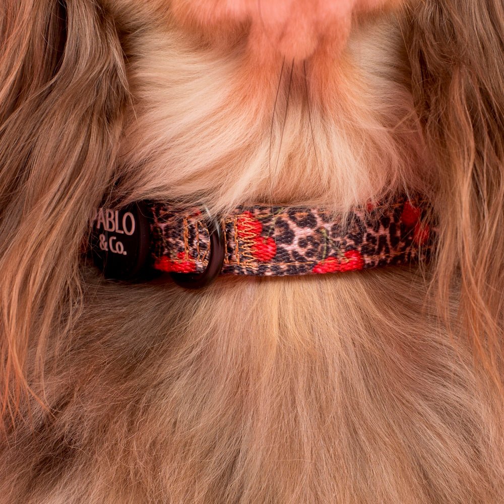 Pablo & Co Leopard Cherries Dog Collar - Collars from Pablo & Co at DoggyTopia