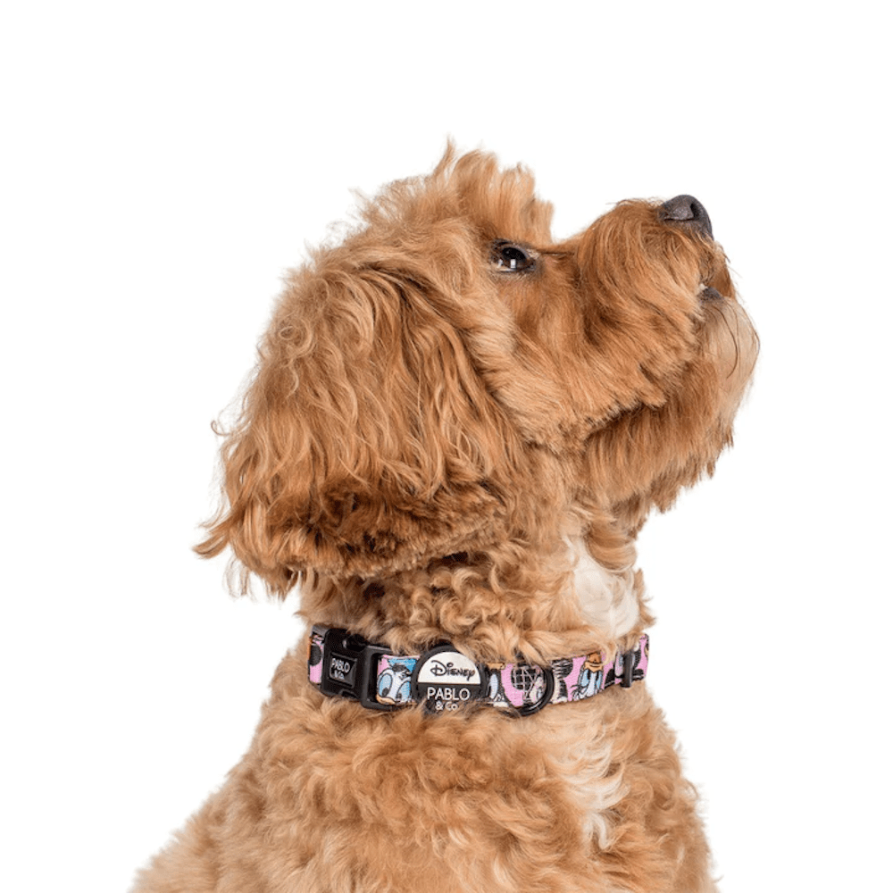 Pablo & Co Mickey & Friend: Dog Collar Pink - Collars from Sale at DoggyTopia