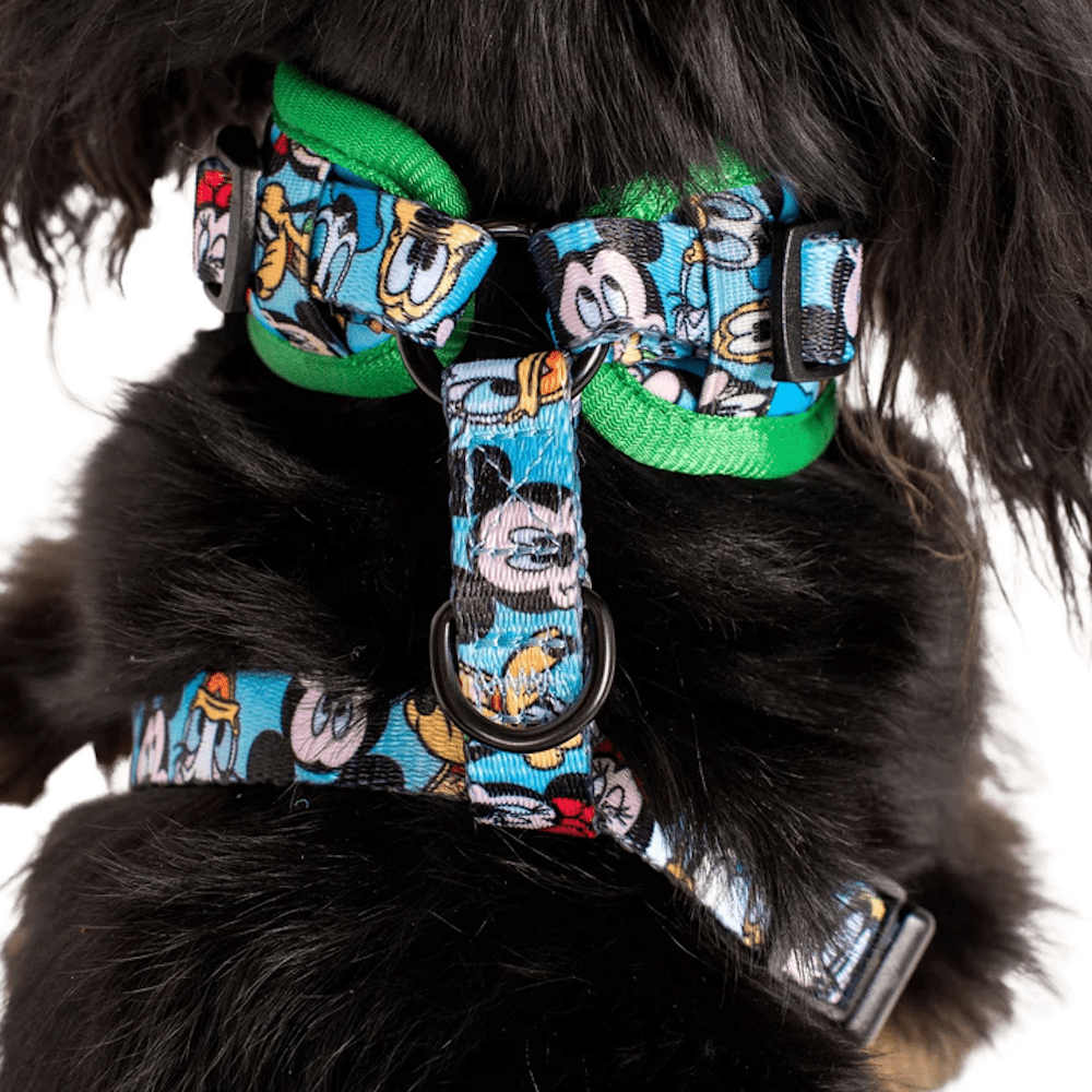 Pablo & Co Mickey & Friends: Adjustable Harness - Blue - Adjustable Harnesses from Sale at DoggyTopia
