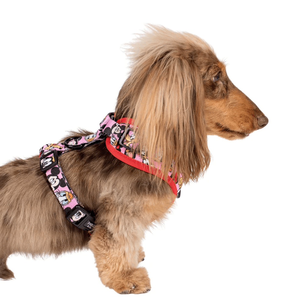Pablo & Co Mickey & Friends: Adjustable Harness - Pink - Adjustable Harnesses from Sale at DoggyTopia