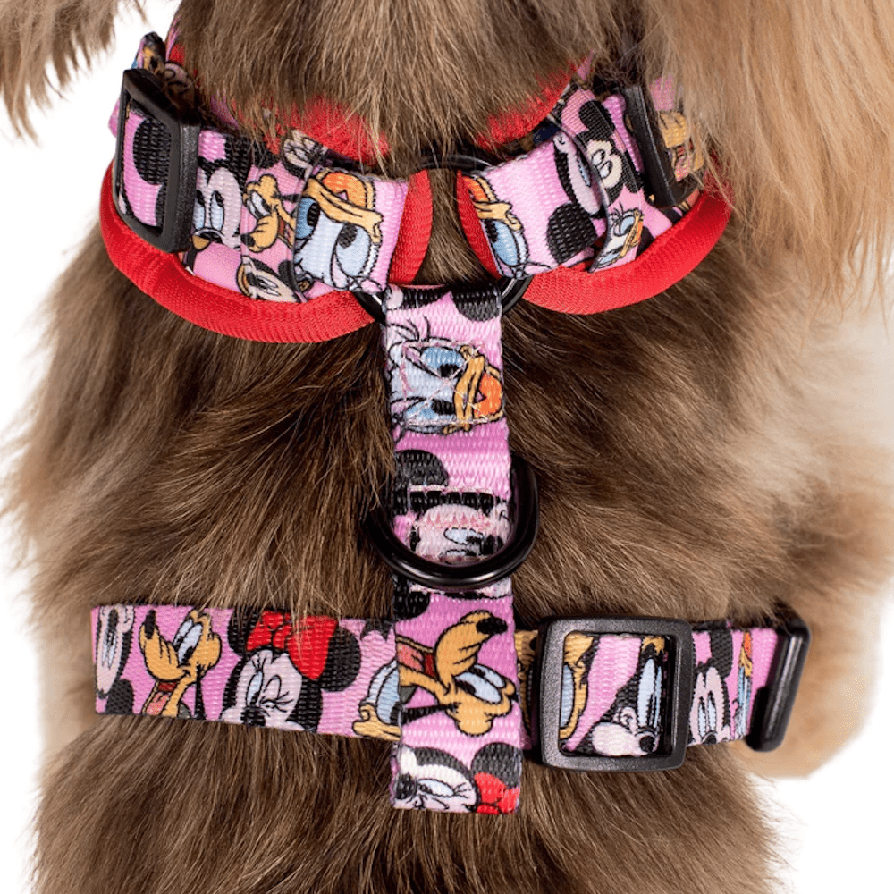 Pablo & Co Mickey & Friends: Adjustable Harness - Pink - Adjustable Harnesses from Sale at DoggyTopia