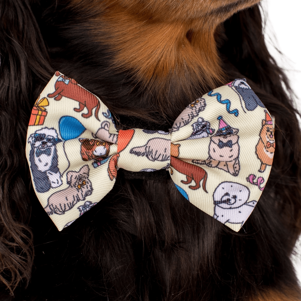 Pablo & Co Party Dawgs Bow Tie - Bow Ties from Pablo & Co at DoggyTopia