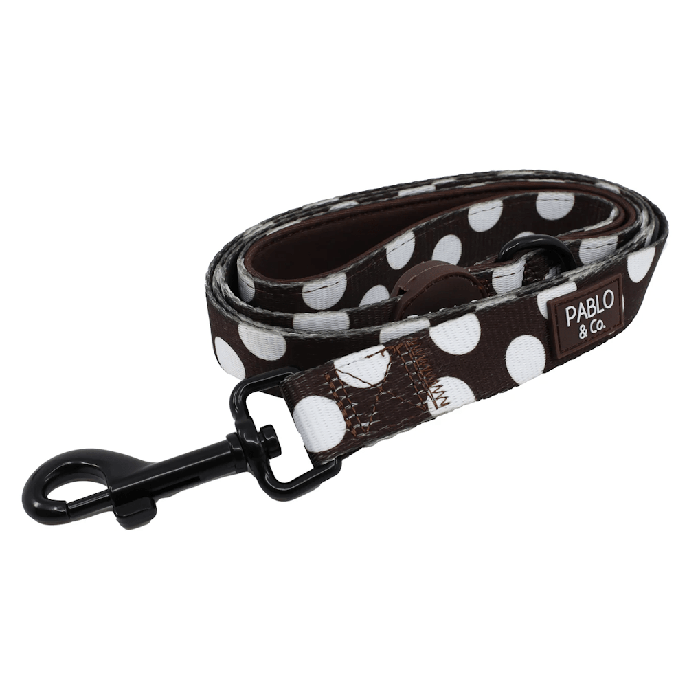 Pablo & Co Polka Dots Dog Leash - Leashes & Leads from Pablo & Co at DoggyTopia