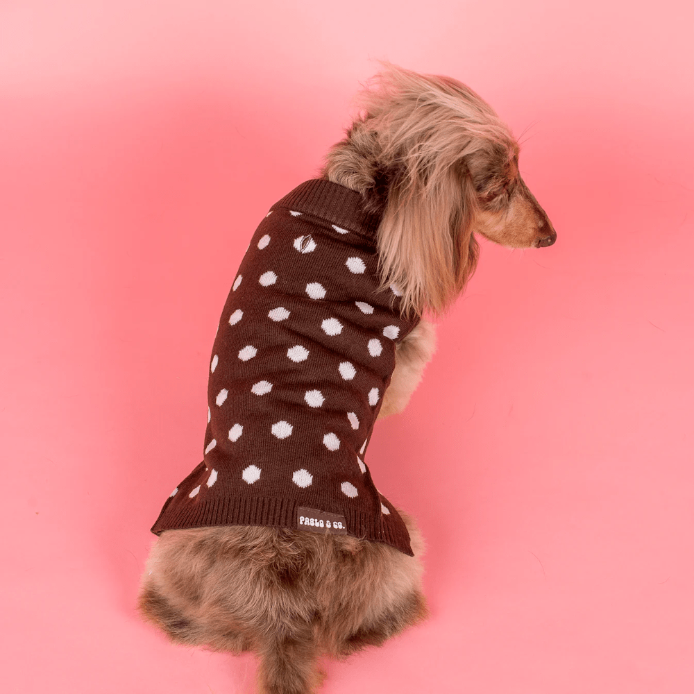 Pablo & Co Polka Dots Sweater - Knit Jumpers from Pablo & Co at DoggyTopia