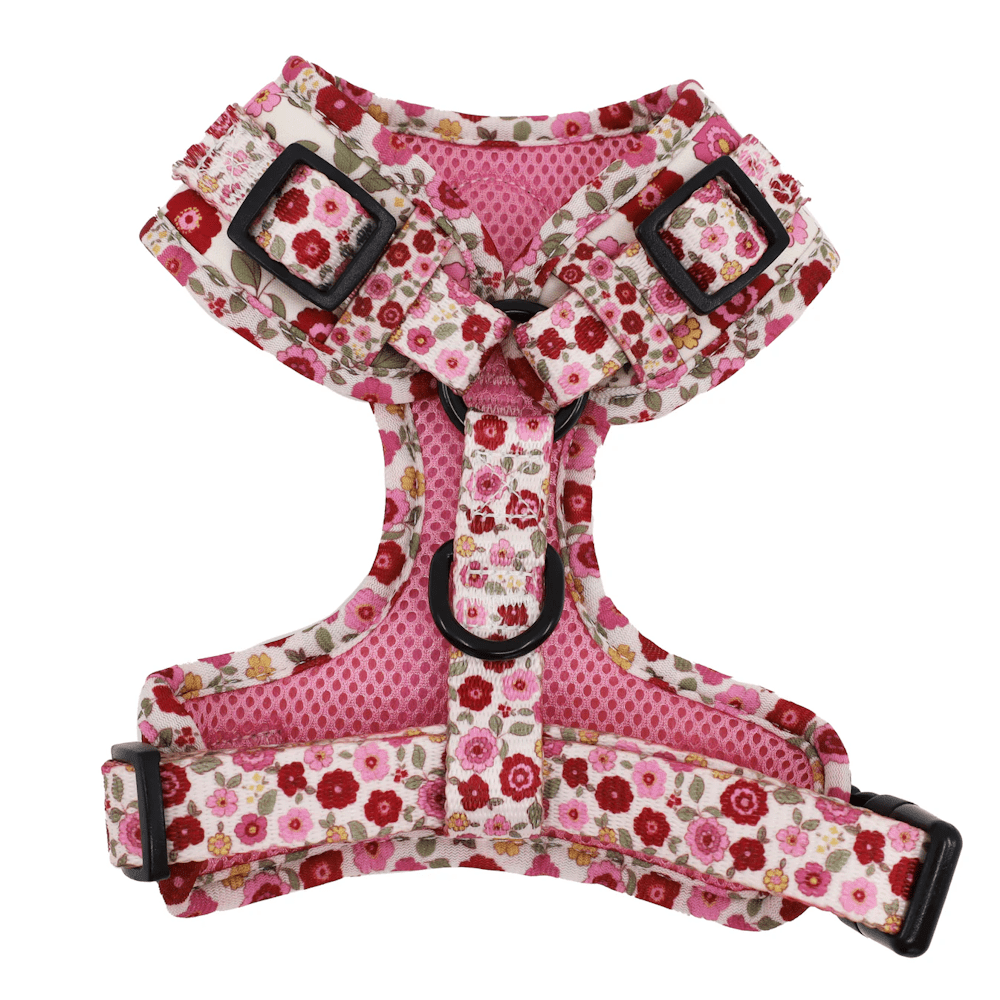 Pablo & Co Primrose Adjustable Harness - Adjustable Harnesses from Pablo & Co at DoggyTopia