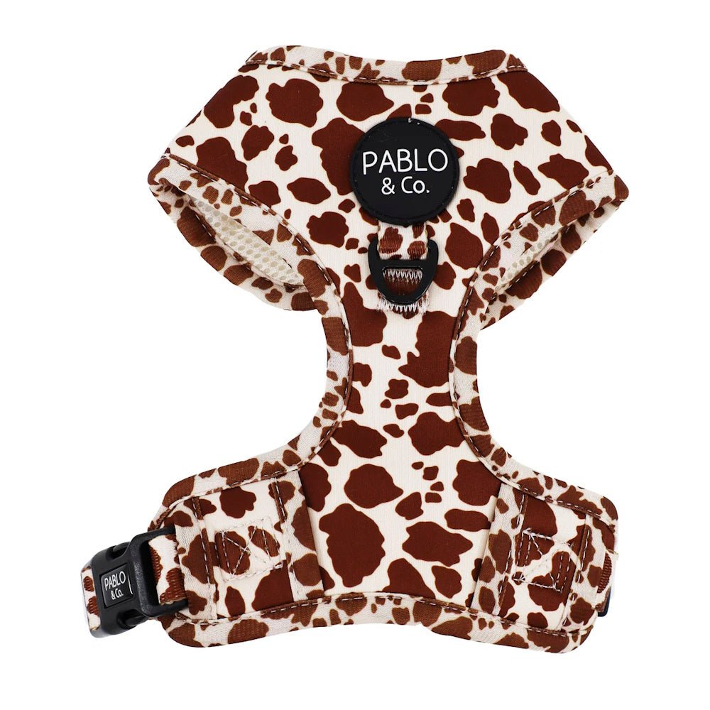 Pablo & Co Rodeo Adjustable Harness - Adjustable Harnesses from Pablo & Co at DoggyTopia