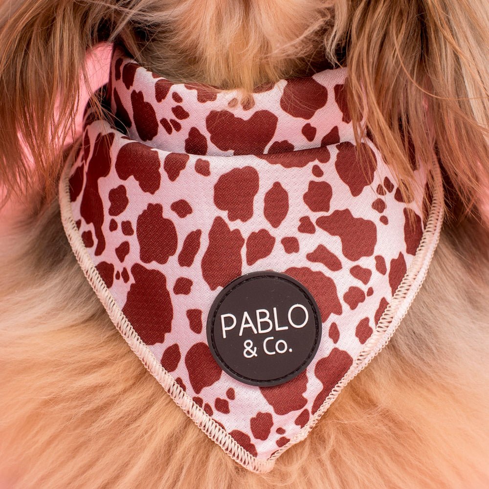 Pablo & Co Rodeo Bandana - Bandanas from Pablo & Co at DoggyTopia